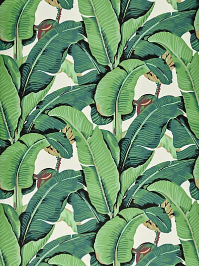 Beverly Hills Banana Palm Wallpaper - Green