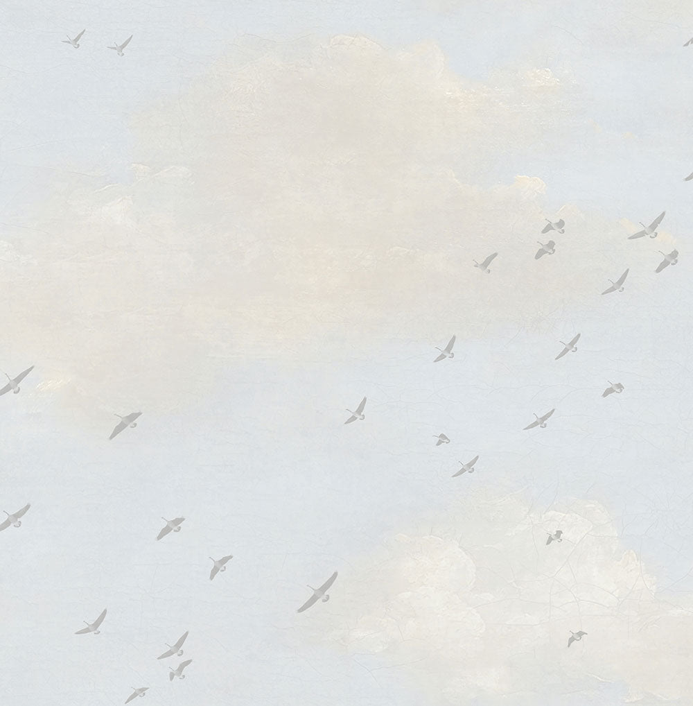 Clouds With Birds Wallpaper
