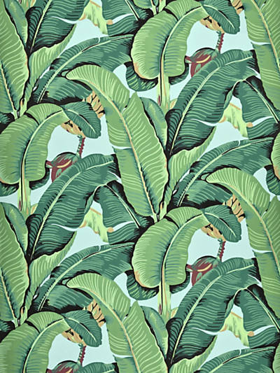Hinson Palm Wallpaper for Scalamandre Beverly Hills Hotel Palm Print