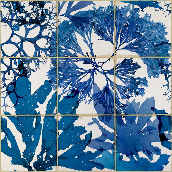 Algae in Blue Wallpaper