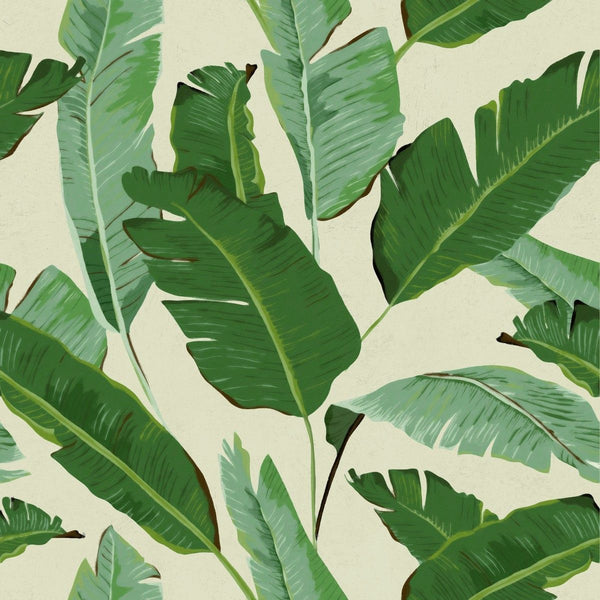 BANANA LEAVES Premium Wallpaper