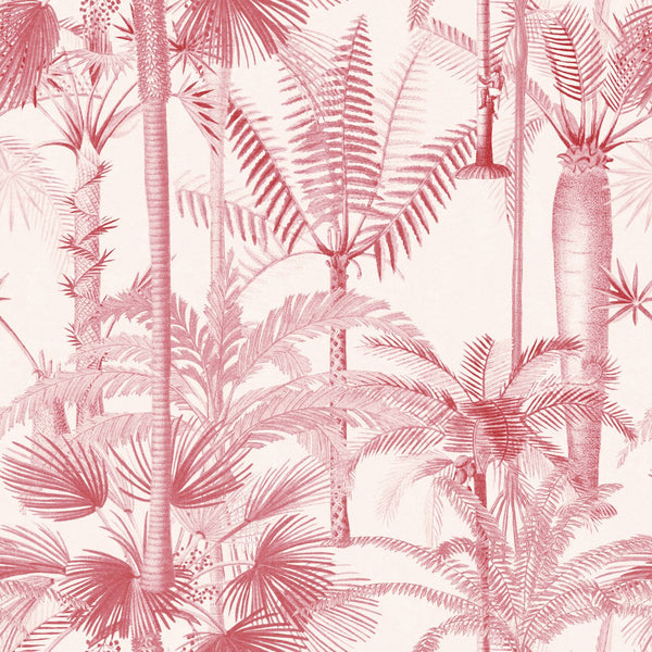 PALMERA CUBANA Pink Wallpaper