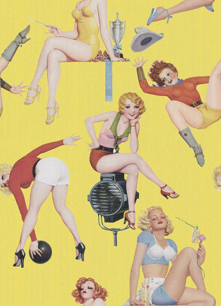 PIN-UP GIRLS Premium Wallpaper