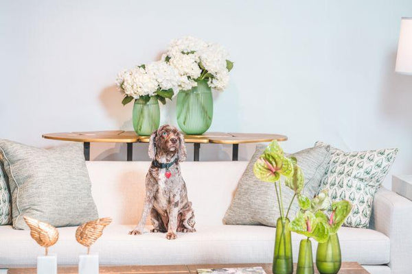 Sinclair Sofa - Blush