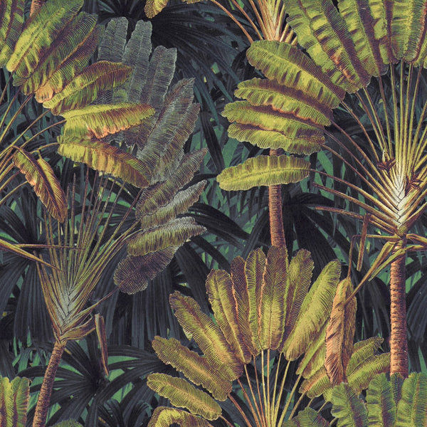 TRAVELLER'S PALM Sunset Wallpaper